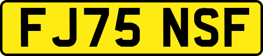 FJ75NSF