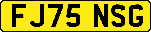 FJ75NSG
