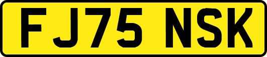 FJ75NSK