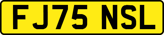 FJ75NSL