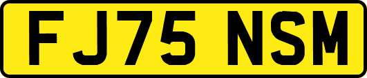 FJ75NSM