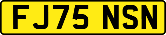 FJ75NSN