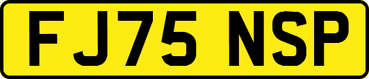 FJ75NSP