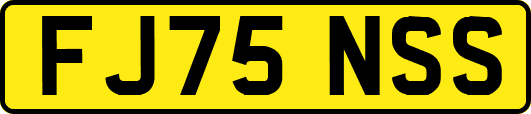 FJ75NSS