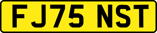 FJ75NST