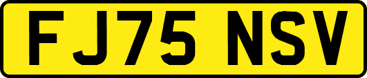 FJ75NSV