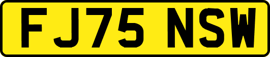 FJ75NSW