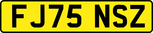 FJ75NSZ