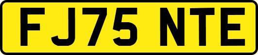 FJ75NTE