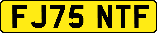 FJ75NTF