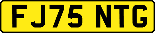 FJ75NTG
