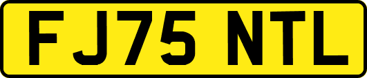 FJ75NTL