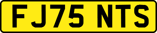 FJ75NTS