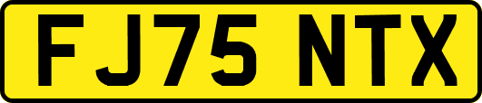 FJ75NTX