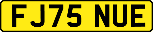 FJ75NUE