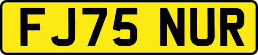 FJ75NUR