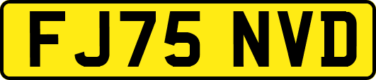 FJ75NVD