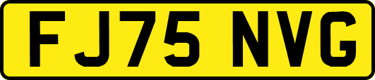 FJ75NVG