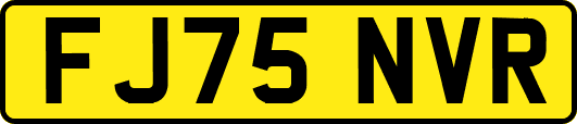FJ75NVR