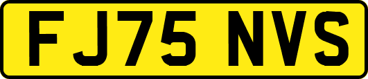 FJ75NVS