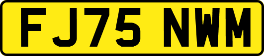 FJ75NWM