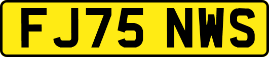 FJ75NWS