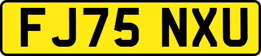 FJ75NXU