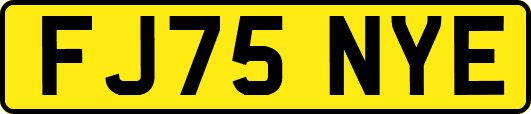 FJ75NYE