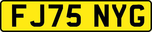 FJ75NYG