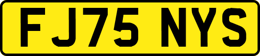 FJ75NYS