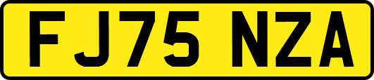 FJ75NZA