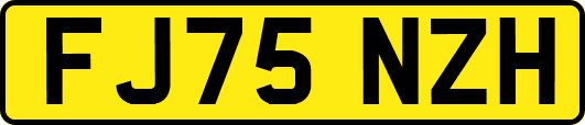 FJ75NZH