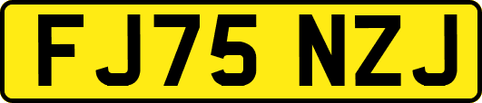 FJ75NZJ