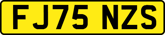 FJ75NZS
