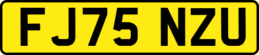 FJ75NZU