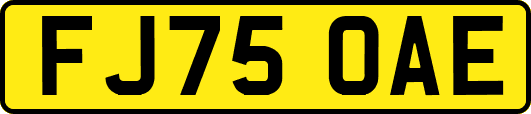 FJ75OAE