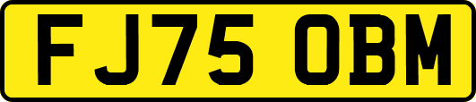 FJ75OBM