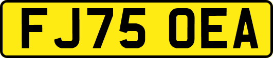 FJ75OEA