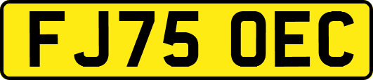 FJ75OEC