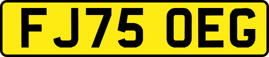 FJ75OEG