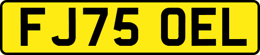 FJ75OEL