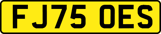 FJ75OES