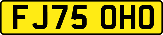 FJ75OHO
