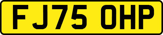 FJ75OHP