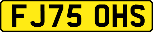 FJ75OHS