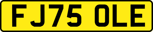 FJ75OLE
