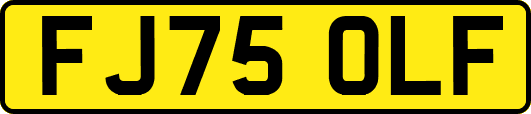 FJ75OLF