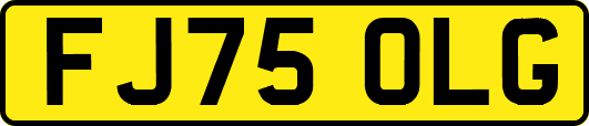 FJ75OLG