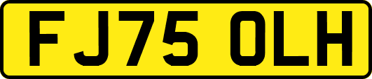 FJ75OLH