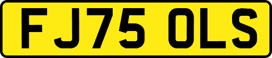 FJ75OLS